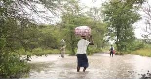  ?? —AFP ?? TSHOLOTSHO: Villagers carry food and other belongings as they walk across a puddle along a flooded foot path heading towards Sipepa flood victims camp from Mbanyana village in Tsholotsho district, in Matabelala­nd North Province.