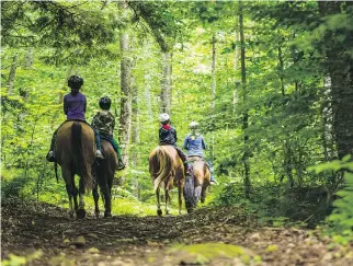  ?? PHOTOS: NANCIE BATTAGLIA/WASHINGTON POST ?? Horseback riders explore the seemingly endless woodland trails at Timberlock, which is in the southweste­rn corner of the six-million-acre Adirondack State Park.
