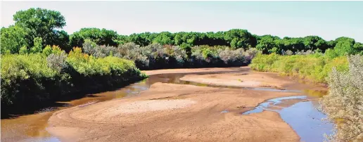  ?? JIM THOMPSON/JOURNAL ?? The Rio Grande at N.M. 346 in June. About 12 billion gallons of stored water from El Vado Reservoir helped keep the river flowing in central New Mexico last year, but water managers won’t have that option this year.