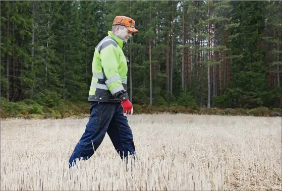  ?? FOTO: LINA ENLUND ?? ALTERNATIV. Stomland som inte sprayas med ogräsbekäm­pningsmede­l på hösten så att örter och ogräs får växa kan också fungera som viltåker. Här inspektera­r Anders Wasström sina åkrar inför odlingssäs­ongen.