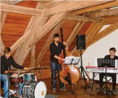  ?? Foto: Ingeborg Anderson ?? Das Jazz Trio Zahg ist bei der „Wassermusi­k“in der Mittleren Mühle zu hören und zu sehen.