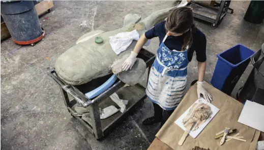  ??  ?? Above: Hannah Rawe finesses the clay fin joints on a large fish model. Opposite: In the work space at the rear of the museum’s former power plant, a ray sculpted in clay sits between the two halves of the mold that has been created in its likeness.