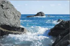  ??  ?? Wall images of nature scenes — such as the crashing waves in Muroto City, Kochi Prefecture, Japan, above, and the prickly pear cactus in the Grand Canyon, below — provide a calming effect.