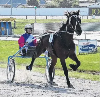  ?? PHOTO: LINDA ROBERTSON ?? War Admiral, in the hands of Samantha Ottley, makes it look easy in the feature trot at the Forbury Park Trotting Club’s meeting last night. It was the gelding’s fourth win from 11 starts.