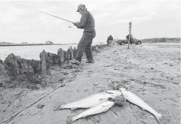  ?? Kim Brent / Beaumont Enterprise ?? Rick Waynick, or “Rollover Rick” as he is known among the regulars who fish at Rollover Pass in the Bolivar Peninsula, has been wetting a line at the popular waterway between the Gulf of Mexico and East Bay for 30 years and has a number of reasons he...