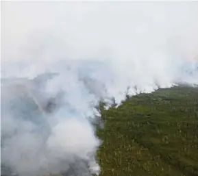  ??  ?? On fire: Smoke covers trees during A forest fire next to A palm plantation in Palangka RAYA, Central Kalimantan province. — Reuters.