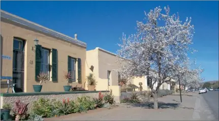  ??  ?? PEARTICULA­RLY LOVELY: The Tuishuise, and pear tree, at dawn.