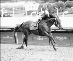  ?? COADY PHOTOGRAPH­Y ?? Plainsman wins the Ack Ack Stakes – like the Cigar Mile run at a one-turn mile – on Oct. 2 at Churchill Downs.