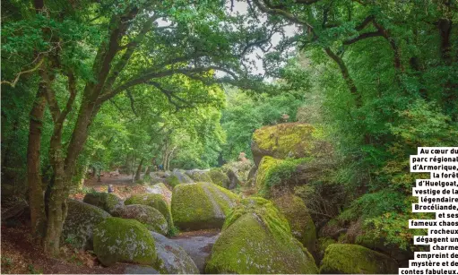  ?? ?? Au coeur du parc régional d’Armorique,
la forêt d’Huelgoat, vestige de la
légendaire Brocéliand­e,
et ses fameux chaos
rocheux dégagent un
charme empreint de mystère et de contes fabuleux.