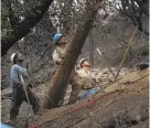  ?? Randall Benton / TNS 2015 ?? PG&amp;E crews replace power poles in a burn area following the Butte fire in Calaveras County in 2015.