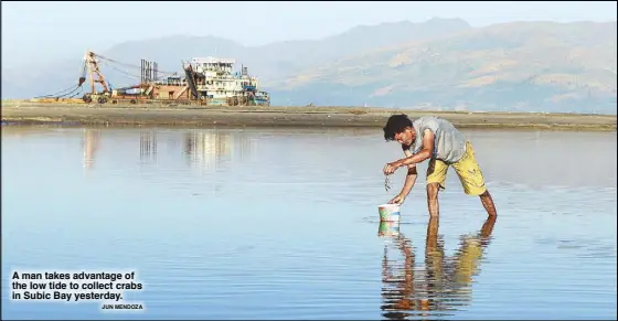  ?? JUN MENDOZA ?? A man takes advantage of the low tide to collect crabs in Subic Bay yesterday.