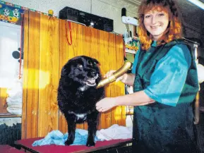  ?? PHOTO: SUPPLIED ?? Back at the start . . . Cathy Wallace blowdries a dog in her first year as a groomer in 1992.