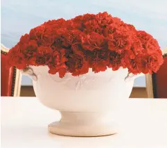  ?? ANNIE SCHLECHTER ?? Use old dishes, like this tureen with a broken cover, to display flowers.