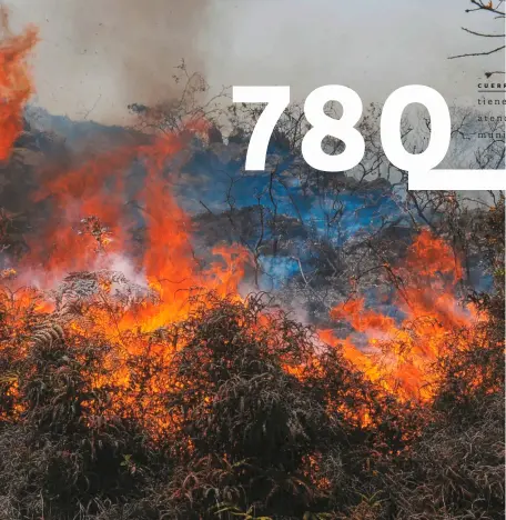  ??  ?? En la primera temporada seca de este año se registraro­n más de 800 incendios en diferentes regiones del país.