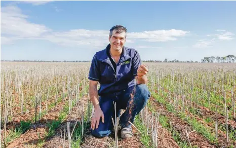  ?? PHOTO: CHLOE SMITH ?? BIG CHILL: Simon Craig, an independen­t soil consultant, undertakin­g soil moisture testing in the Victorian locality of Birchip.