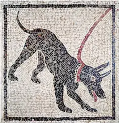  ??  ?? Amicus optimus hominis, a first-century mosaic from the House of Orpheus, Pompeii