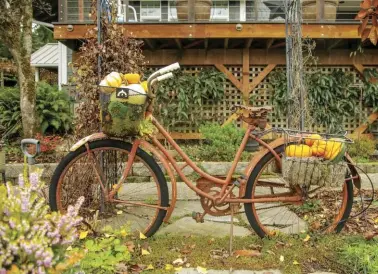  ??  ?? |TOP RIGHT| STAR ACCESSORY. This cute vintage bike was a Craigslist find that Kim uses to display her flowers and other décor throughout the year. "Each season I redecorate it,” she says. Here, she has chosen a variety of pumpkins and moss for a fall feel. “In the winter I have pine needles, lights and ornaments, and in the spring and summer I have flowers falling out of it,” she says.