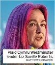  ?? MATTHEW HORWOOD ?? Plaid Cymru Westminste­r leader Liz Saville Roberts.