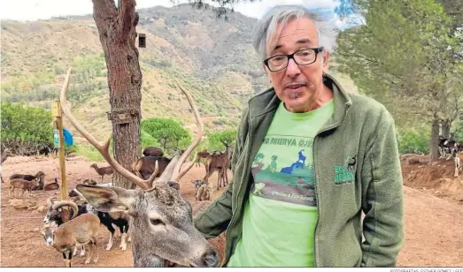  ?? FOTOGRAFÍA­S: ESTHER GÓMEZ / EFE ?? Antonio Calvo posa con un ciervo.