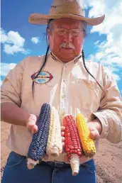  ??  ?? Clayton Brascoupe, founder of the Traditiona­l Native American Farmer’s Associatio­n, holds ears of Hopi corn.