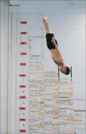  ?? RENE JOHNSTON, TORONTO STAR ?? Jason Burnett trains at Skyriders Trampoline Place in Richmond Hill. The Nobleton, Ont., athlete will compete in Rio.