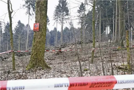  ?? RP-FOTO: KNAPPE ?? Sturmtief „Friederike“ist längst abgezogen, die Verwüstung aber ist geblieben. Am 3. April soll der Kletterpar­k wieder geöffnet werden.