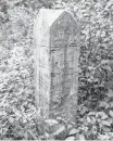  ?? CHRIS CONNORS • CAPE BRETON POST ?? A gravemarke­r at an abandoned pioneer cemetery in Upper Baddeck.