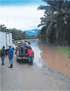  ??  ?? LENTITUD. Los vehículos deben reducir la velocidad o hacer altos cuando cruzan esta carretera.