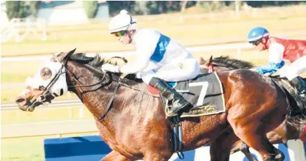  ?? JC PHOTOGRAPH­ICS ?? Luyolo Mxothwa rides Border Control in Race 2 at Fairview today. /