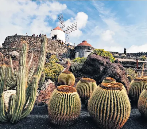  ??  ?? Making a point: César Manrique’s Cactus Garden on Lanzarote
Current affairs: Hotel Puntagrand­e in El Hierro is nicely remote