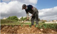  ?? Matt Kynaston / The National ?? A farmer in the Bekaa Valley