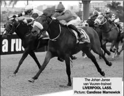  ?? Picture: Candiese Marnewick ?? The Johan Janse van Vuuren-trained LIVERPOOL LASS.