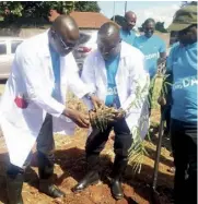  ??  ?? Acting ZRA commission­er general Moses Shuko plants a tree with the help of Lusaka city deputy mayor Christophe­r Shakafuswa (centre).