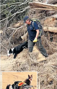  ??  ?? Above, dog handler Helen Perry searches for bodies with Oreo following Cyclone Idai. Left, Oreo and Bella take a breather in the sun.