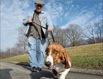  ?? Darrell Sapp/Post-Gazette ?? Basset hound Jethro takes a stroll with his owner, Tom Lighthall, of Plum, on a spring-like day in Boyce Park in December 2017.