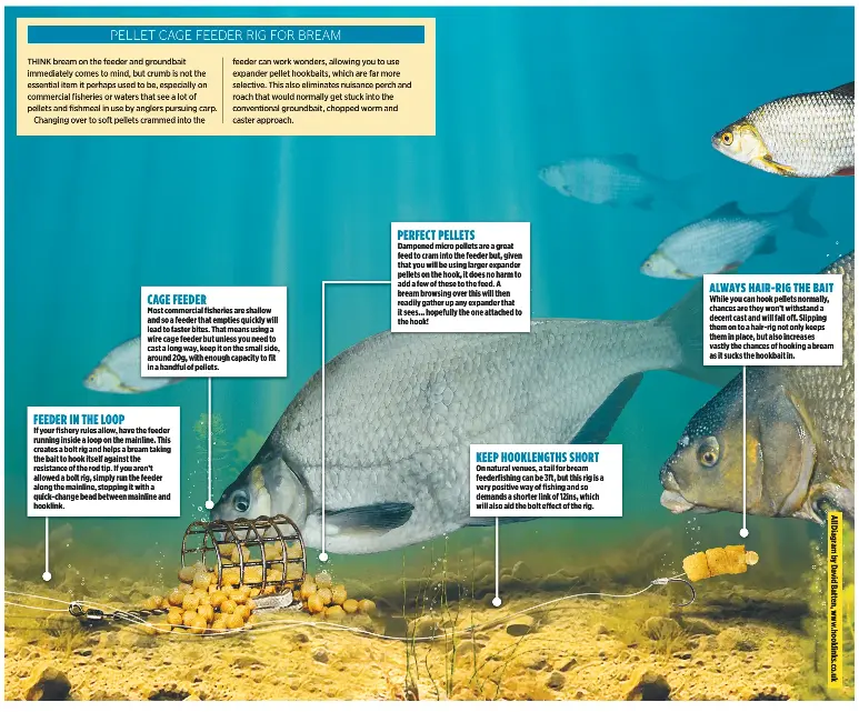 pellet-cage-feeder-rig-for-bream-pressreader