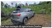  ?? ?? Tak lupa mampir di agrowisata Jambu Kristal Kedora di Kedaloman, Gunung Alip, Tanggamus