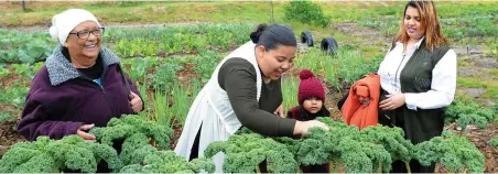  ?? PICTURE: BRENTON GEACH ?? GROWING TREND: Beacon Organic’s Myrtle Kellerman, Kelsy Fabing, Faith (with mom), Chasarel Stuurman. Rain gave Captonians and gardener Magda Campbell from Mitchells Plain even more reason to celebrate South Africa’s second Garden Day yesterday. The...