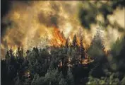  ?? Noah Berger Associated Press ?? THE MOSQUITO FIRE burns along a ridge in unincorpor­ated Placer County, Calif., in September.