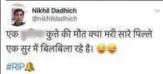  ??  ?? Hate tweets were directed at journalist Gauri Lankesh who was killed in Bengaluru by unknown assailants on Tuesday.