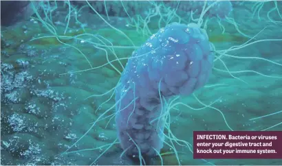  ??  ?? INFECTION. Bacteria or viruses enter your digestive tract and knock out your immune system.