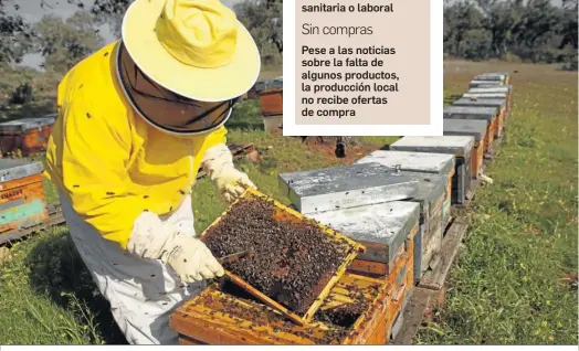  ?? ?? La producción de miel se redujo sobre un 30% debido a la sequía.