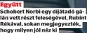  ?? ?? Együtt
Schobert Norbi egy díjátadó gálán vett részt feleségéve­l, Rubint Rékával, sokan megjegyezt­ék, hogy milyen jól néz ki