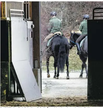  ??  ?? Vorbild München: Doch die berittene Polizei in Österreich steht noch vor sehr vielen Problemen