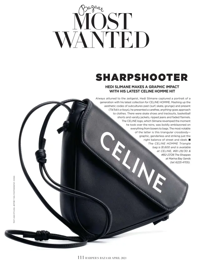 CELINE HOMME Bags