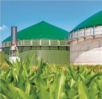  ?? Foto: Wolfgang Jargstorff - stock.adobe.com ?? Auch Biogasanla­gen gehören zum Aufgabenge­biet von Umwelttech­nikern.