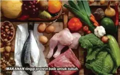  ??  ?? MAKANAN tinggi protein baik untuk tubuh.