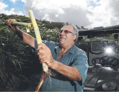  ?? Picture: PETER WALLIS ?? MIXED FEELINGS: Queensland Cane Growers chairman Paul Schembri says growers back the takeover of Mackay Sugar but are sad at the loss of control for locals.