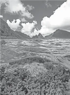  ?? PHOTOS PROVIDED BY NATIONAL PARK SERVICE ?? Visitors can enjoy snorkeling and diving in National Park of American Samoa’s 4,000 marine acres.