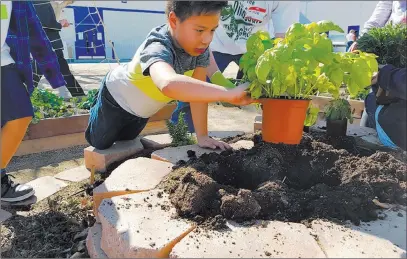  ?? COURTESY ?? Inspirada sponsors a garden at Liberty High School, as part of the Green our Planet initiative, which aims to increase environmen­tal education and change within schools.